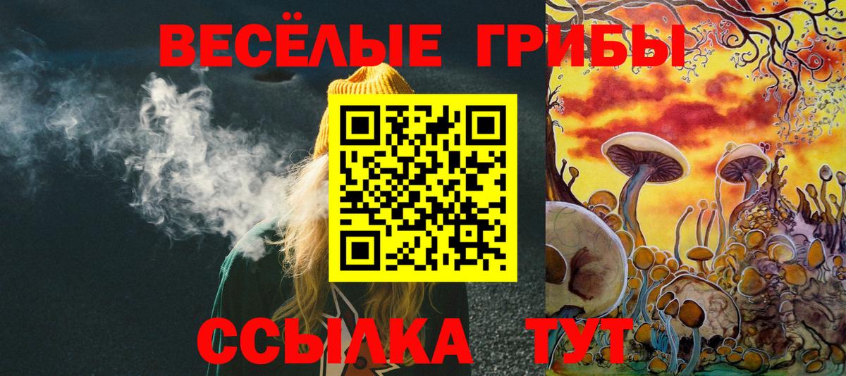 Псилоцибиновые грибы Cubensis Тобольск